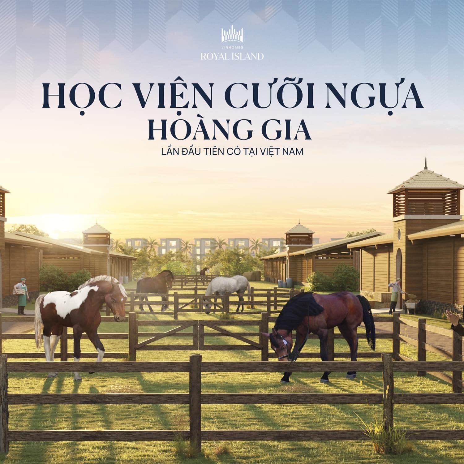 Học viện cưỡi ngựa Hoàng gia - Vinhomes Vũ Yên Hải Phòng
